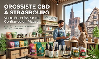 Grossiste CBD à Strasbourg : Votre Fournisseur de Confiance en Alsace