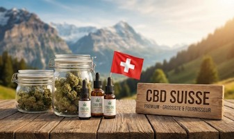 CBD Suisse : Grossiste et Fournisseur de CBD Suisse Premium